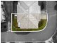 Unit 51/140-142 Eagleby Road, Eagleby QLD 4207