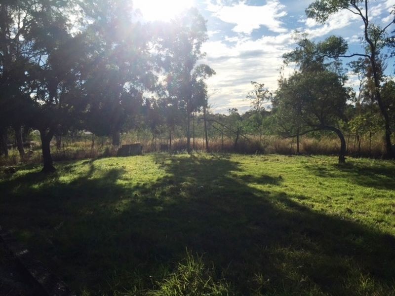 46 Hunter Road, Boronia Heights QLD 4124