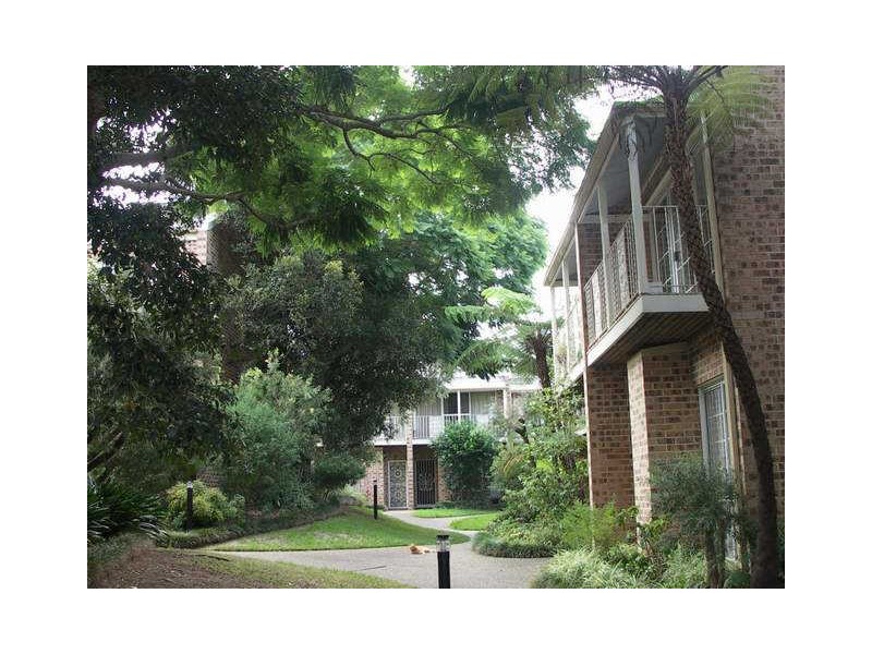 6/43 Hereford Street, Glebe NSW 2037