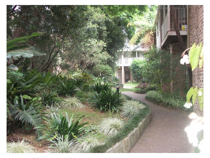 29/43 Hereford Street, Glebe NSW 2037