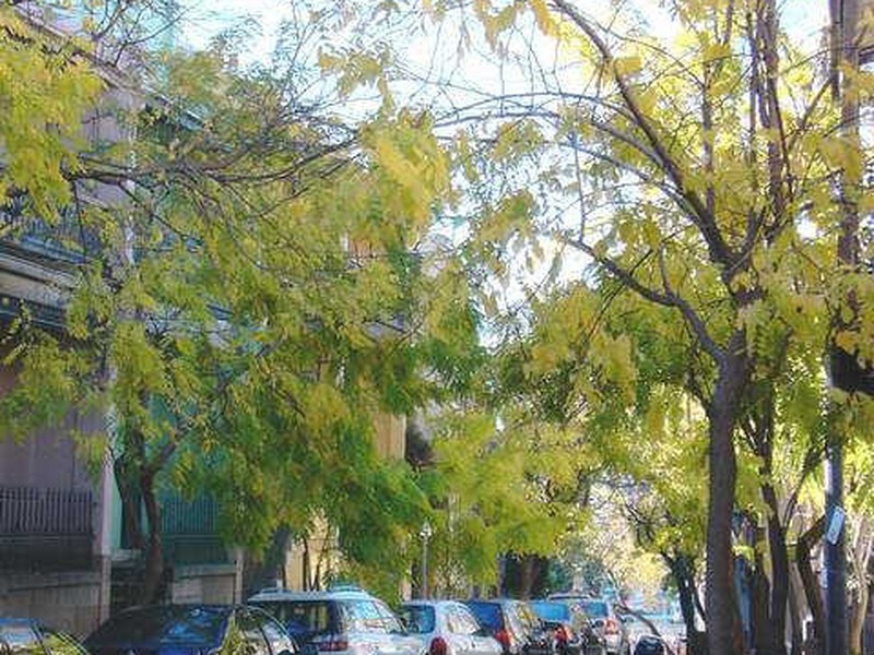 9/48 Surrey Street, Darlinghurst NSW 2010