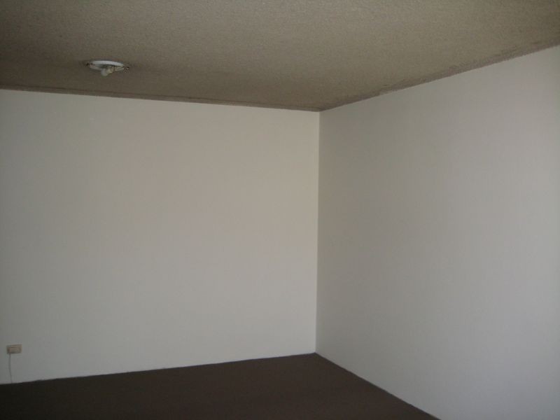 Unit 1/2 Avona Avenue, Glebe NSW 2037