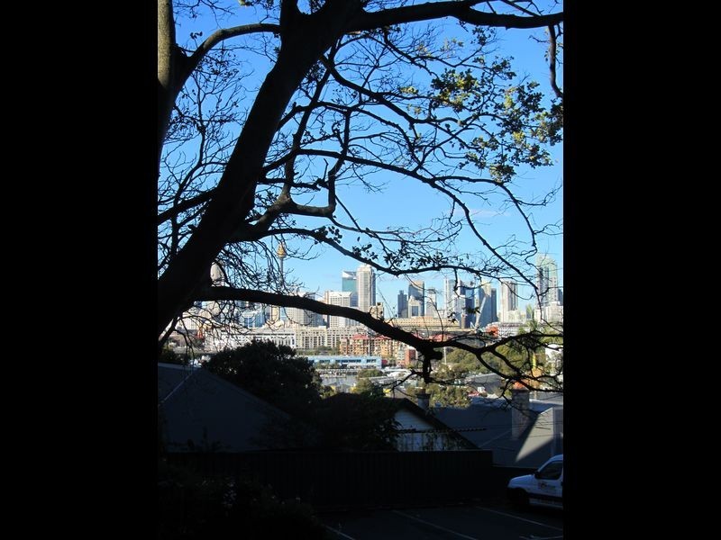 11/5-7 Cook Street, Glebe NSW 2037