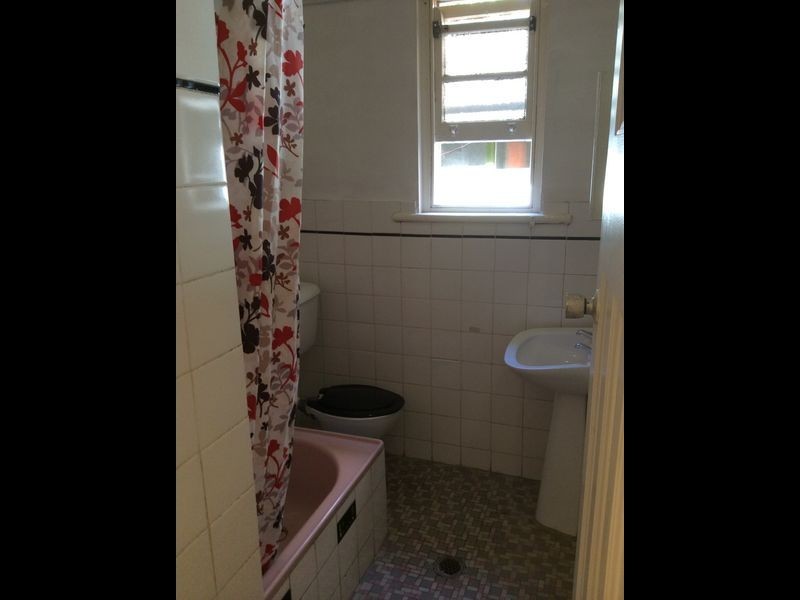 2/62 Hereford Street, Glebe NSW 2037