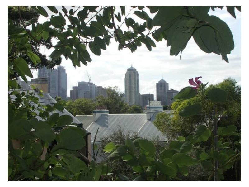 56 Campbell Street, Glebe NSW 2037