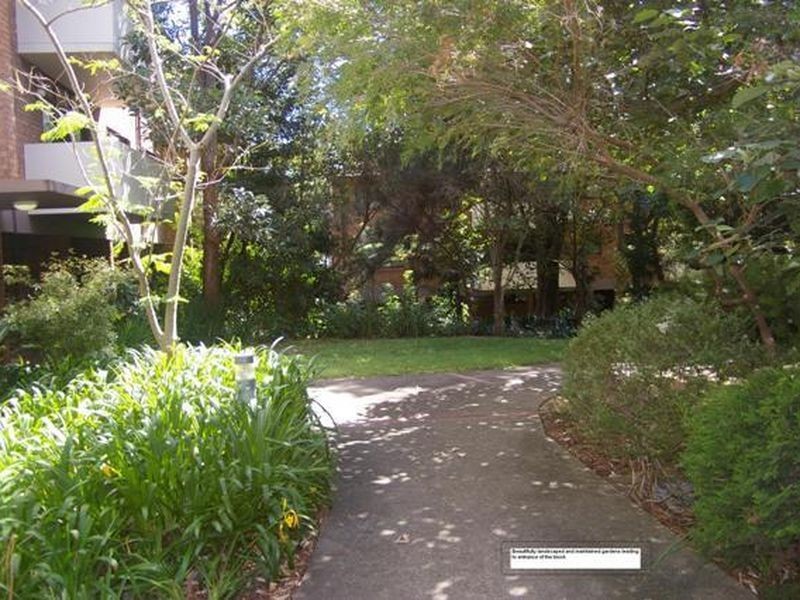 56/213-215 Bridge Road, Glebe NSW 2037