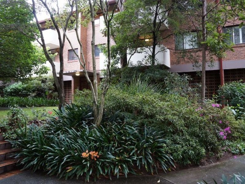 56/213-215 Bridge Road, Glebe NSW 2037