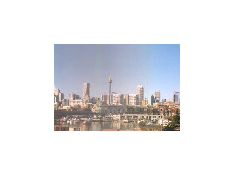 17/20-24 Sheehy Street, Glebe NSW 2037
