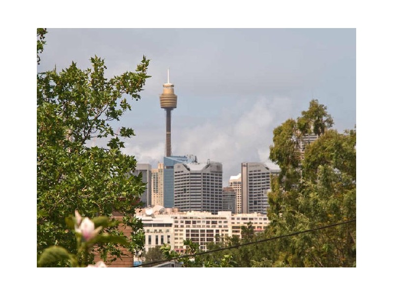 13 Sheehy Street, Glebe NSW 2037