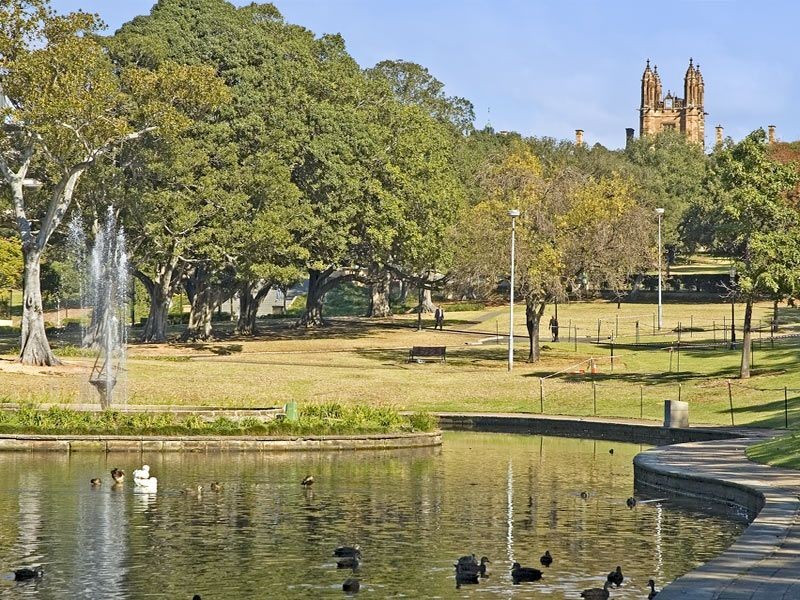 15/60 City Rd, Chippendale NSW 2008