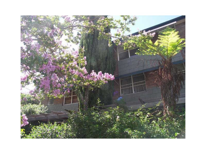 8/44 Boyce Street, Glebe NSW 2037