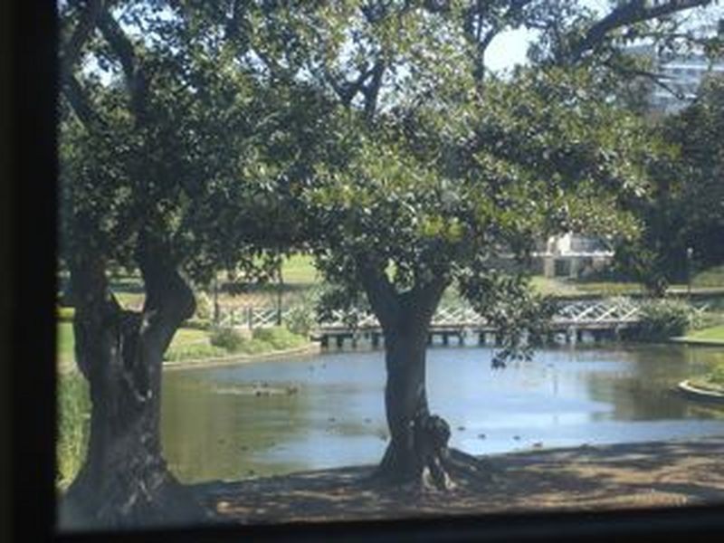 1/257 Broadway, Glebe NSW 2037