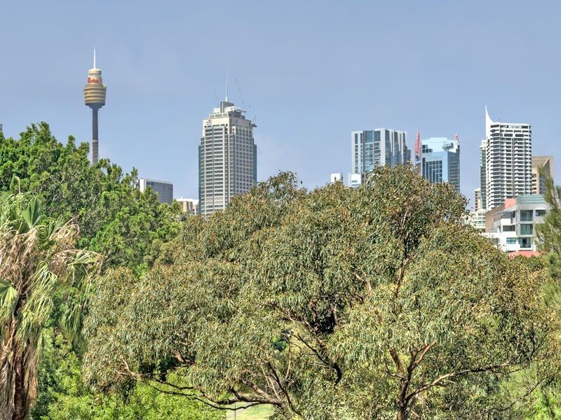 304/34 Wentworth St, Glebe NSW 2037