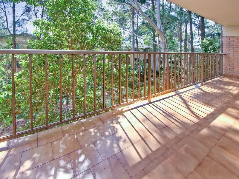 11/12 Leichhardt Street, Glebe NSW 2037