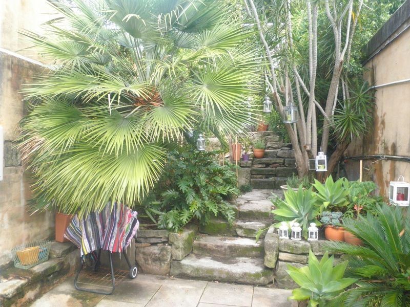 70 Forsyth Street, Glebe NSW 2037