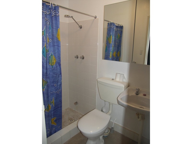 17/2-6 Sheehy Street, Glebe NSW 2037