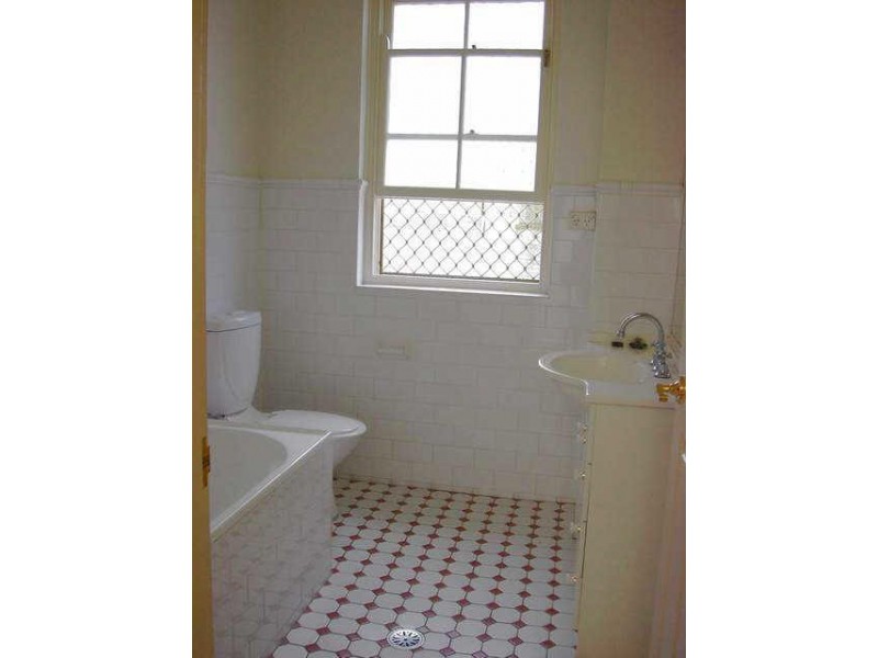 46 Derwent Street, Glebe NSW 2037