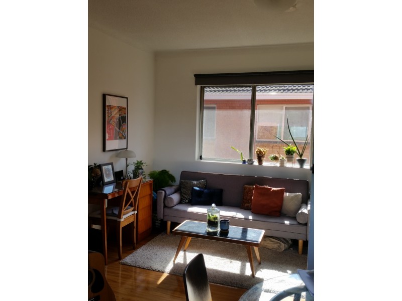 7/31C Charles Street, Glebe NSW 2037