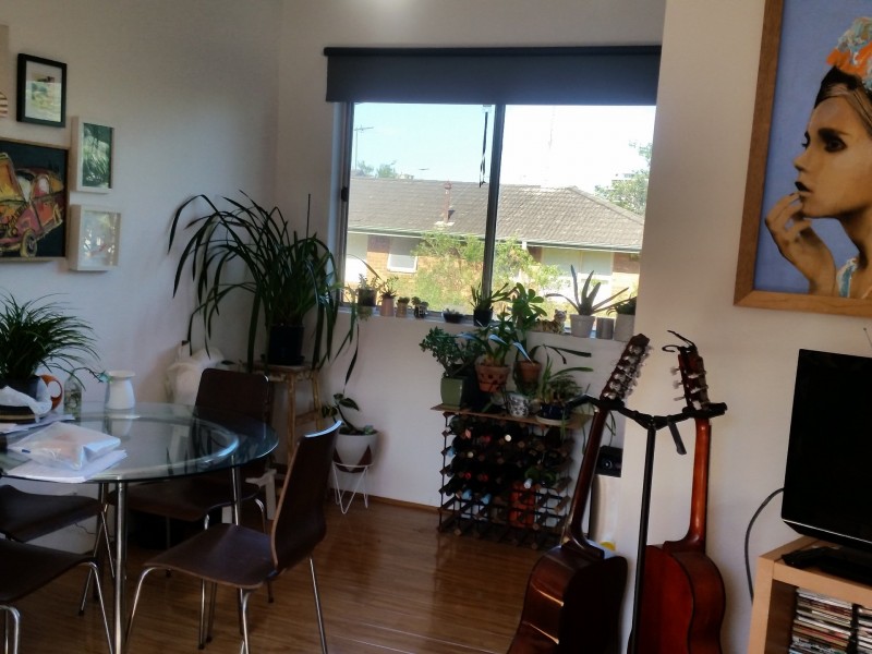 7/31C Charles Street, Glebe NSW 2037