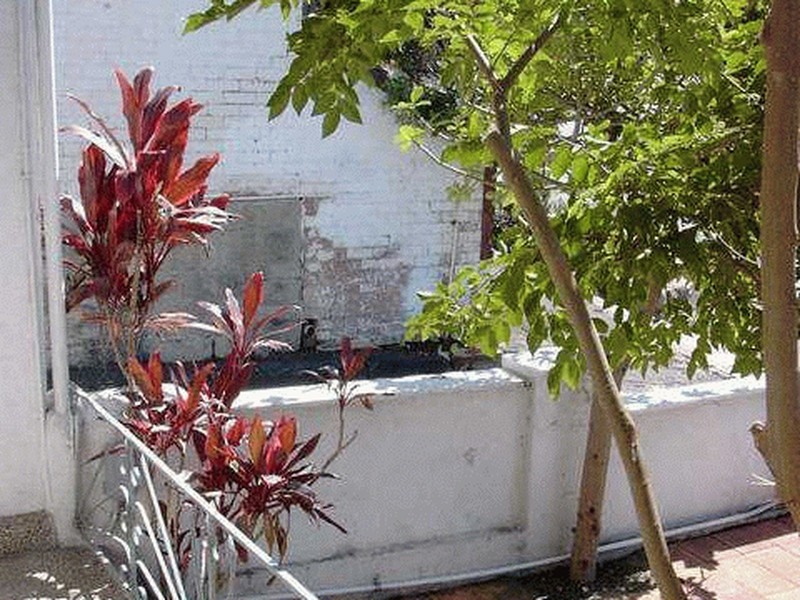 16 Forsyth Street, Glebe NSW 2037