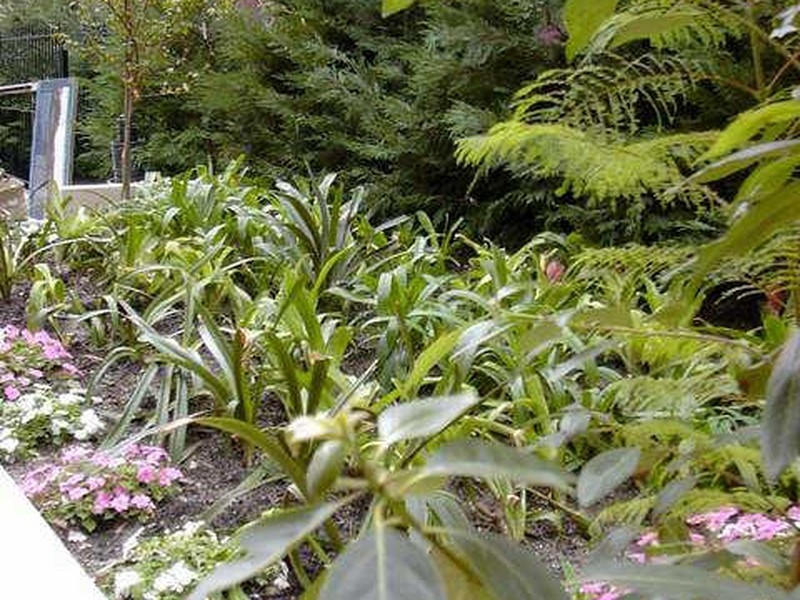 16/199 George Street, Redfern NSW 2016