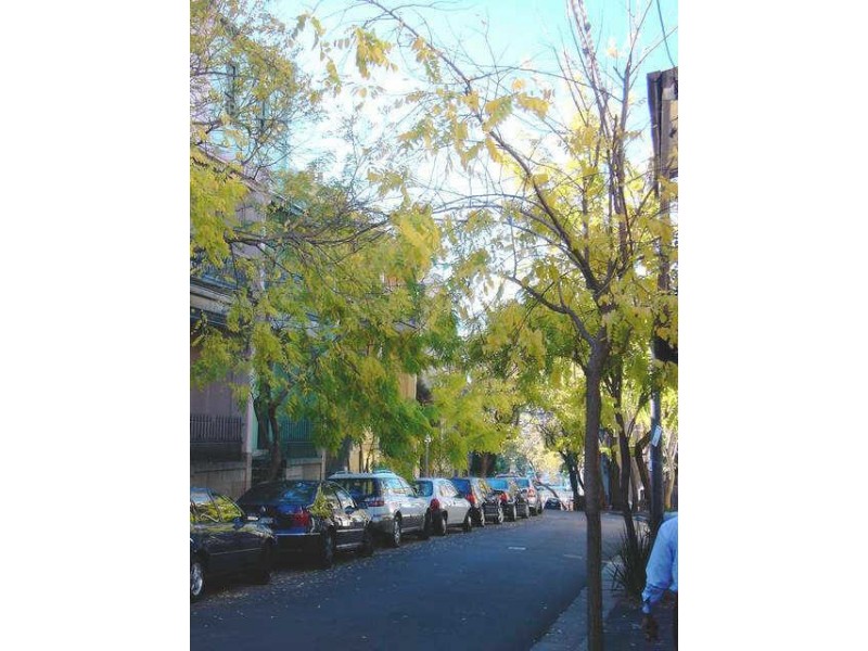 Darlinghurst NSW 2010