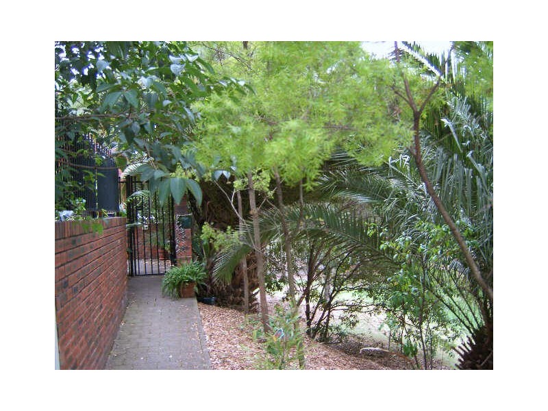 Glebe NSW 2037
