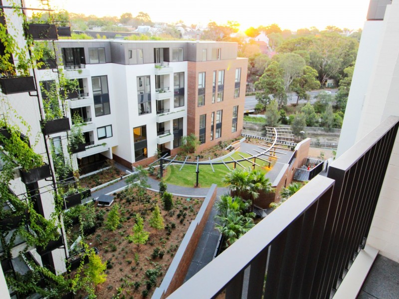 608/170 Ross St, Forest Lodge NSW 2037