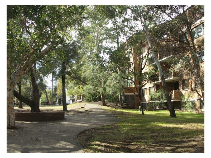 12/392 Jones Street, Ultimo NSW 2007