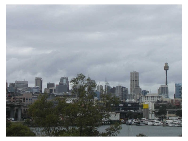 17/16 Leichhardt Street, Glebe NSW 2037