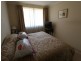 Unit 17/14 Leichhardt Street, Glebe NSW 2037