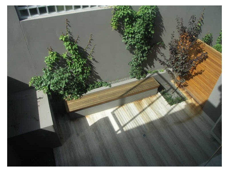 2/208 Bridge Road, Glebe NSW 2037