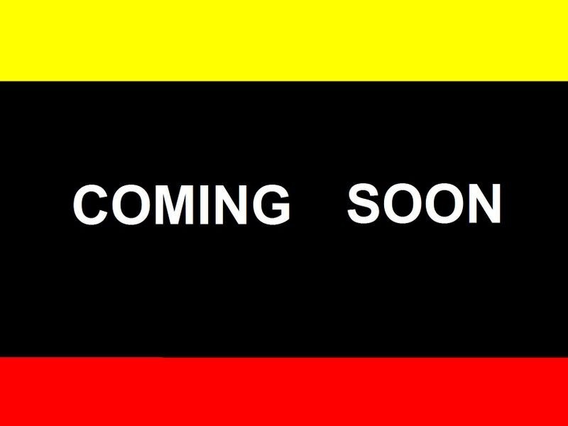 Chippendale NSW 2008