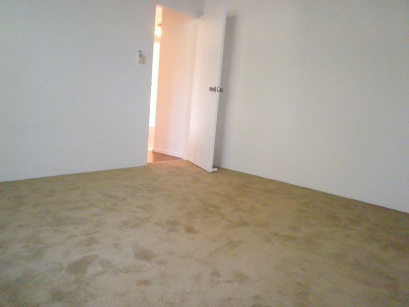 10/77 Hereford Street, Glebe NSW 2037