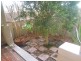 113 Wigram Road, Glebe NSW 2037