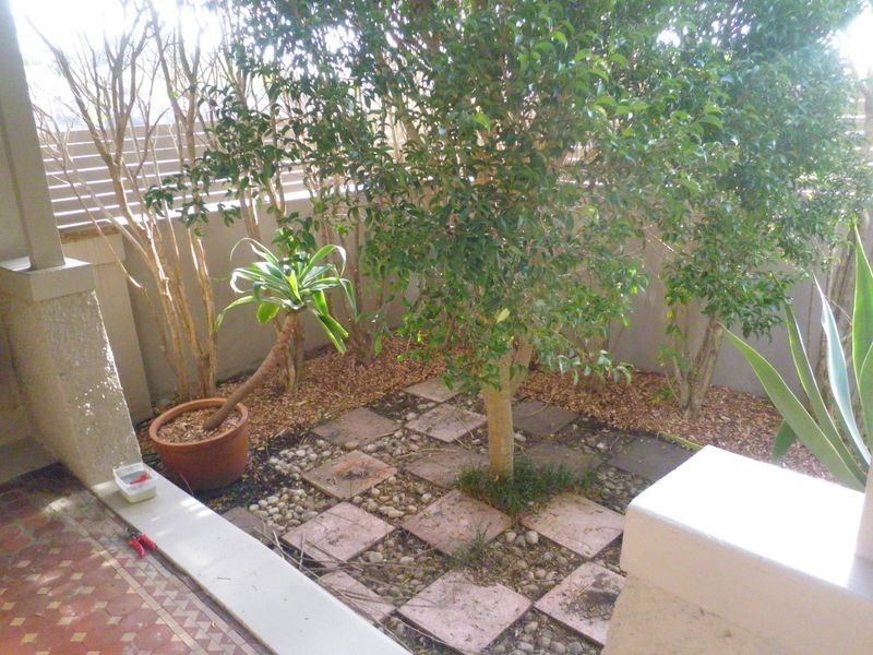 113 Wigram Road, Glebe NSW 2037