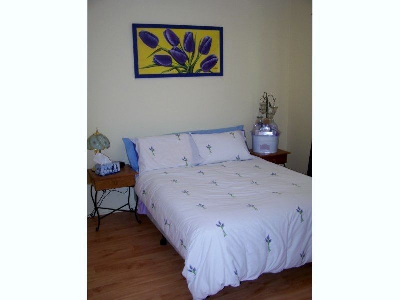 56 Enbrook Street, Bracken Ridge QLD 4017