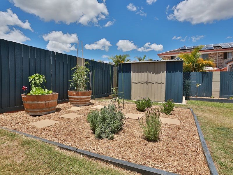 88 Phillips Street, Bracken Ridge QLD 4017