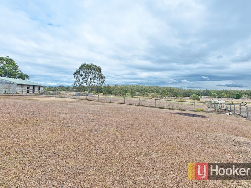 39 Rainwood Street, Bracken Ridge QLD 4017