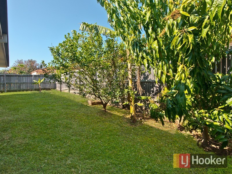 155 Barbour Road, Bracken Ridge QLD 4017