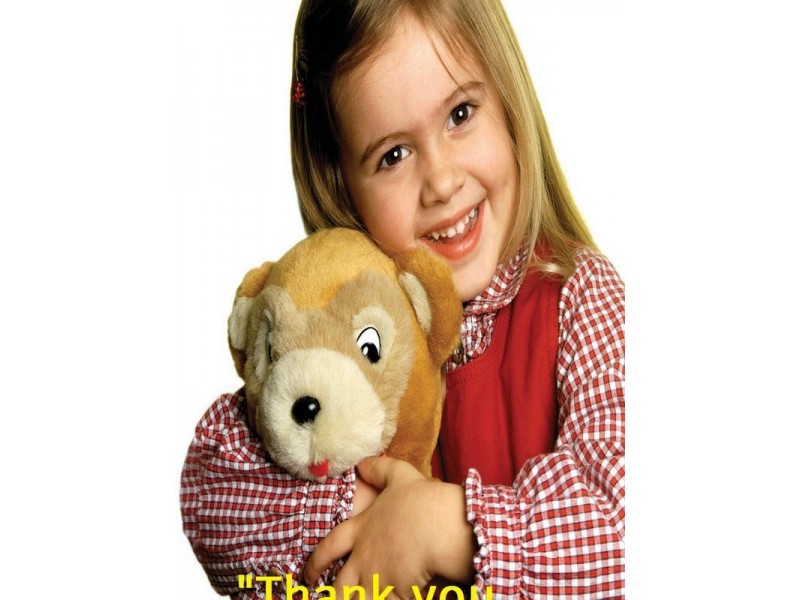 48 Quinlan Street, Bracken Ridge QLD 4017