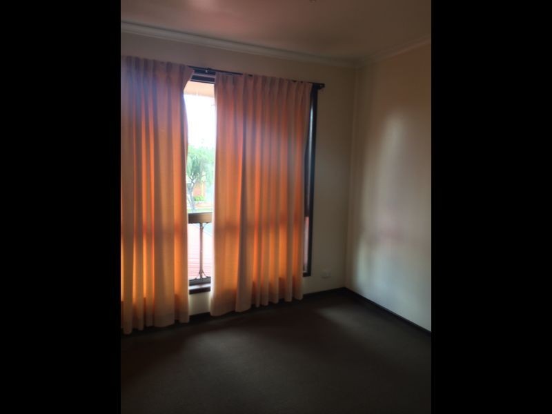 11 Charlock Road, Bald Hills QLD 4036