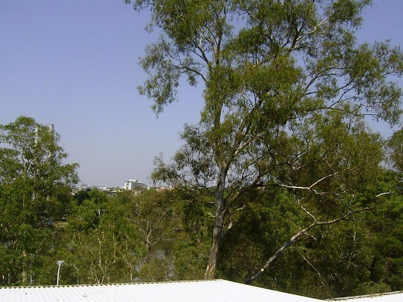 Dutton Park QLD 4102