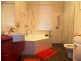 Woolloongabba QLD 4102