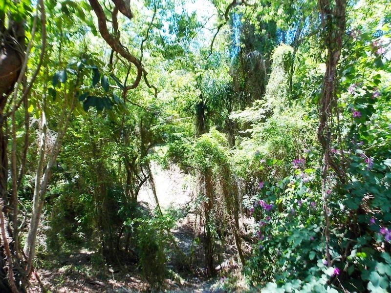 Highgate Hill QLD 4101