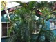 Holland Park West QLD 4121