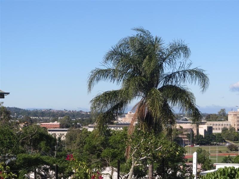 103 Dornoch Terrace, Highgate Hill QLD 4101