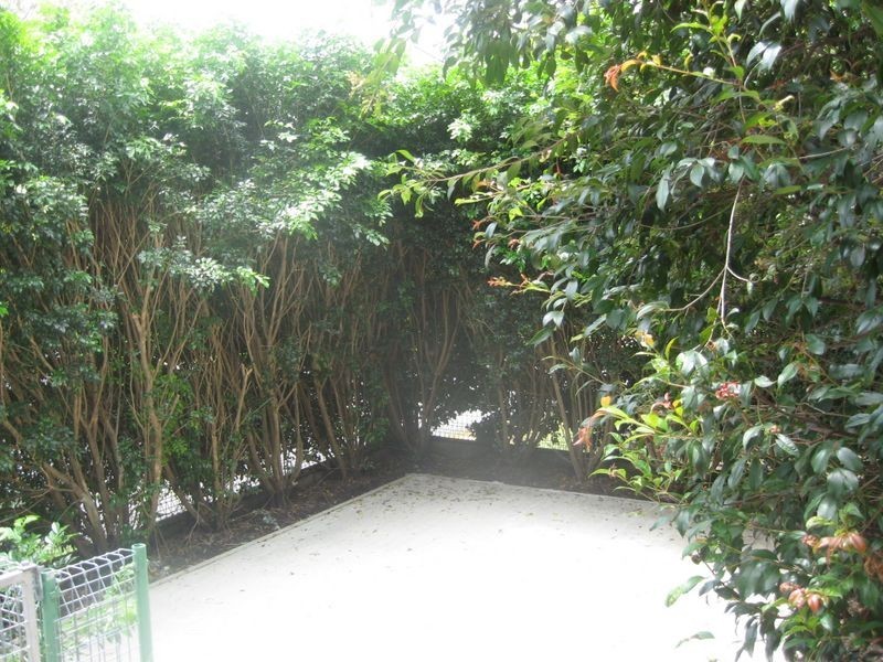 45 Childers Street, Kedron QLD 4031