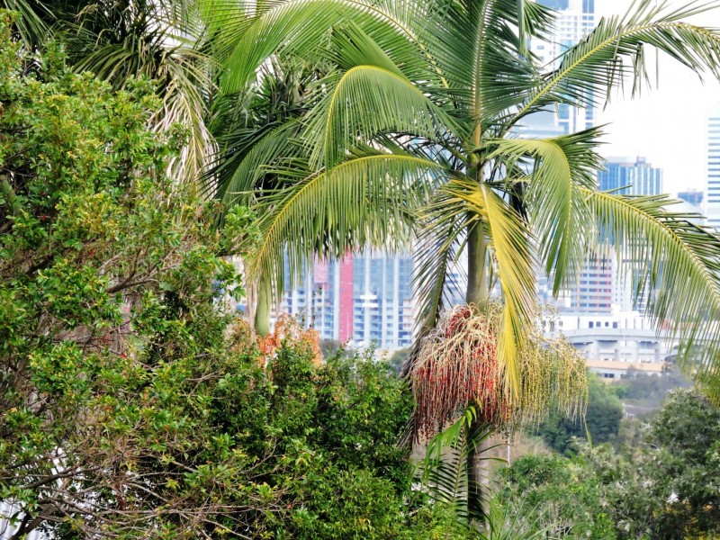 1/109 Stoneleigh Street, Lutwyche QLD 4030