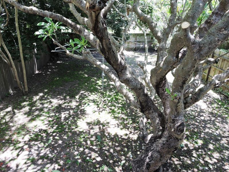 29 Northey Street, Windsor QLD 4030